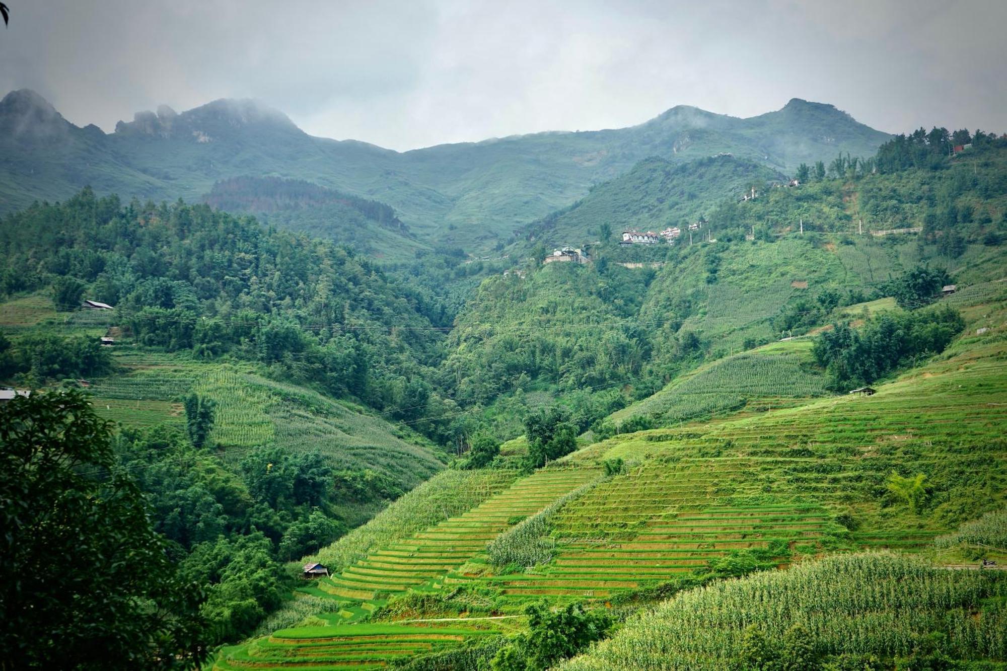Sapa Hillcrest Homestay Lao Cai Dış mekan fotoğraf