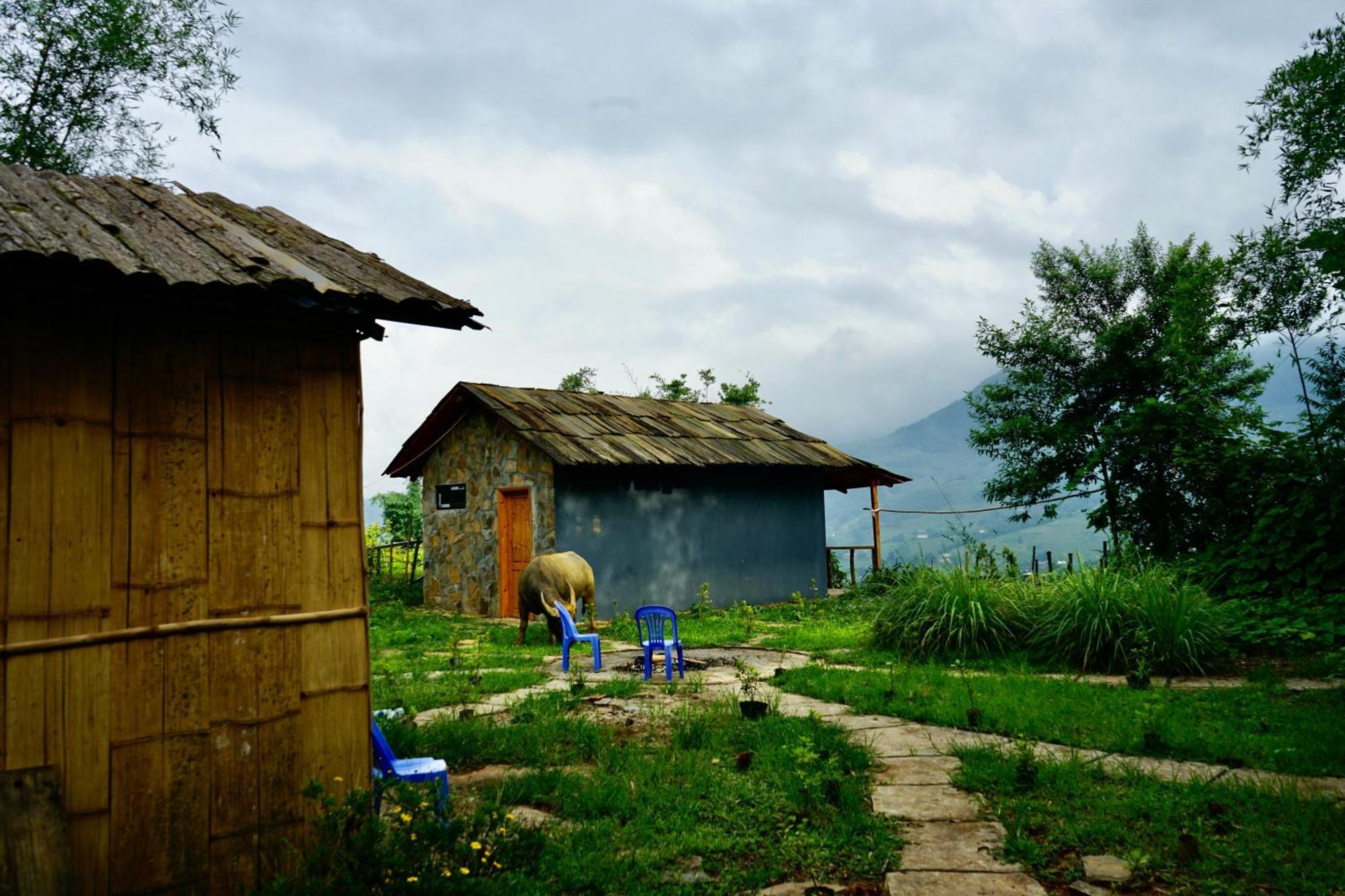 Sapa Hillcrest Homestay Lao Cai Dış mekan fotoğraf