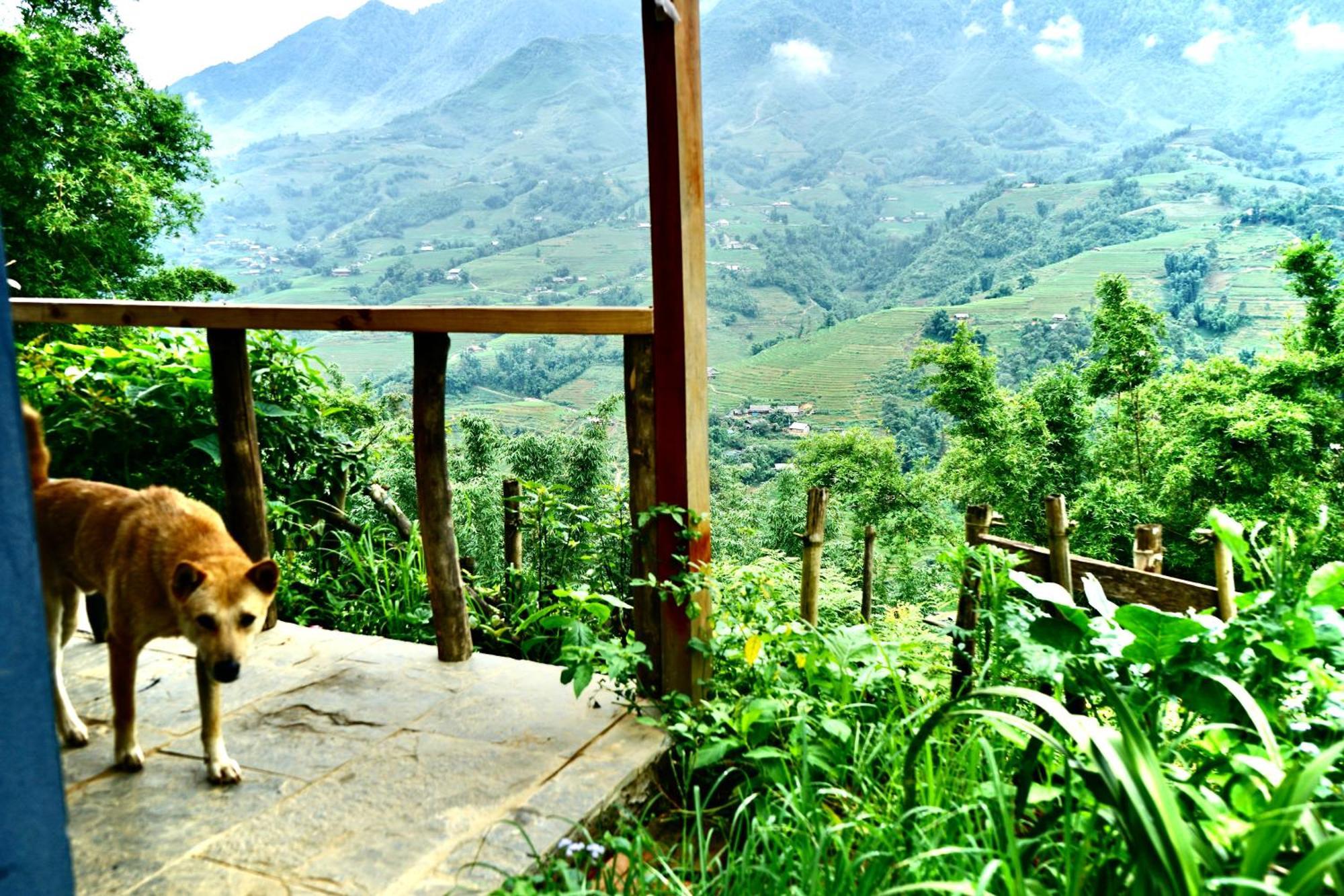 Sapa Hillcrest Homestay Lao Cai Dış mekan fotoğraf